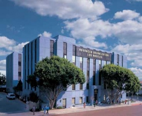 La Organización Avanzada de Los Ángeles, California